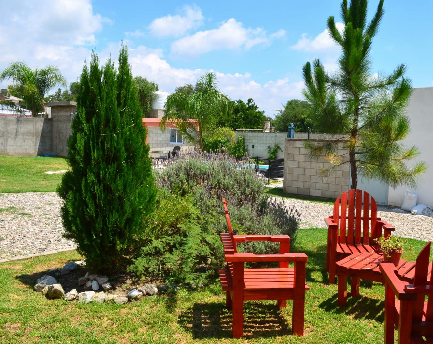 Jardín con reposeras rojas, pino y ciprés recién plantados